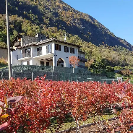 Guest House Le Cassandre-2